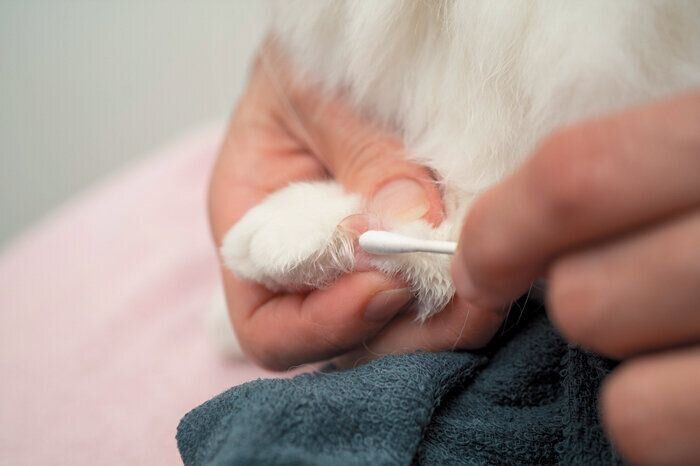 汚れがひどい場合