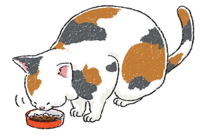 イラスト／おがわようこ