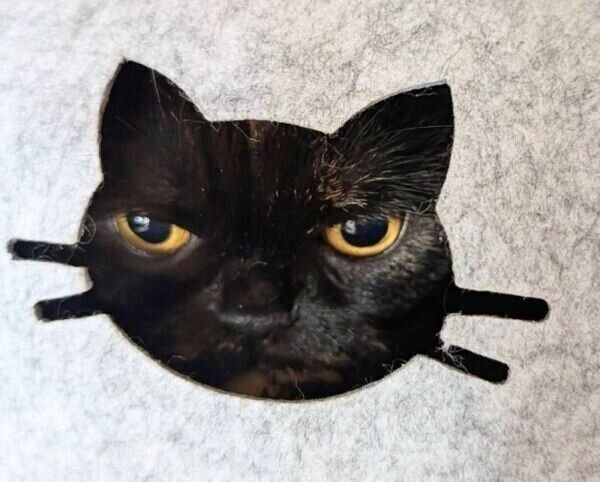 少しアンニュイな雰囲気のめいちゃん