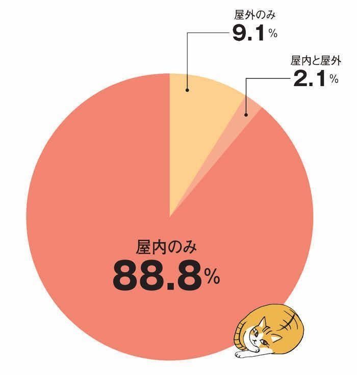 猫のおもな飼育環境 イラスト／西イズミ