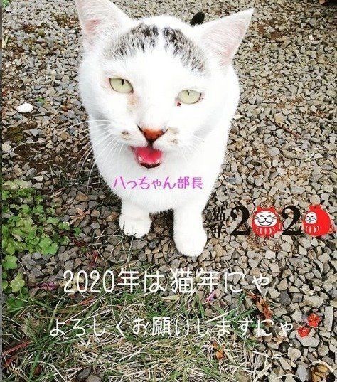 八っちゃん部長