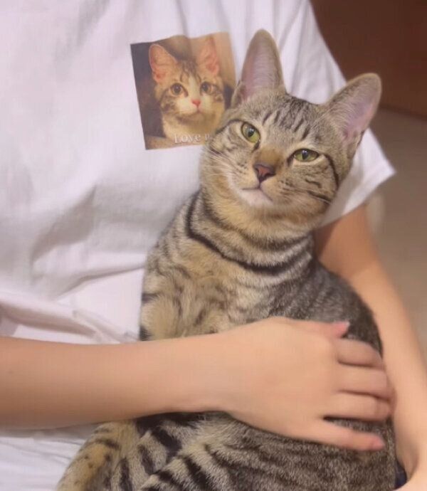 甘えん坊なイヴくん