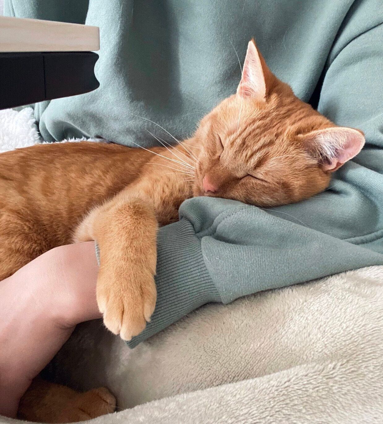 別の日のひなたくん