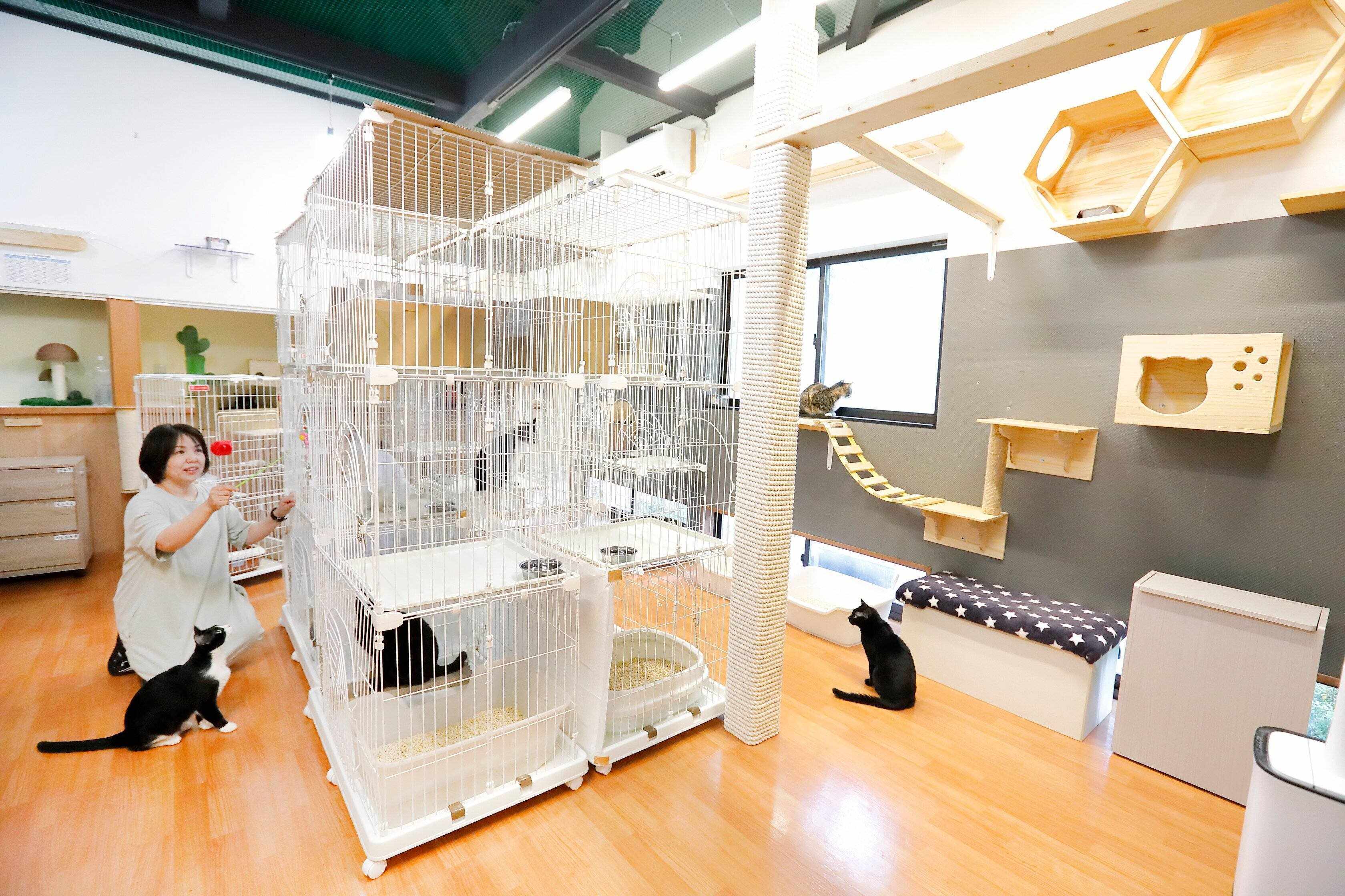 撮影／後藤さくら