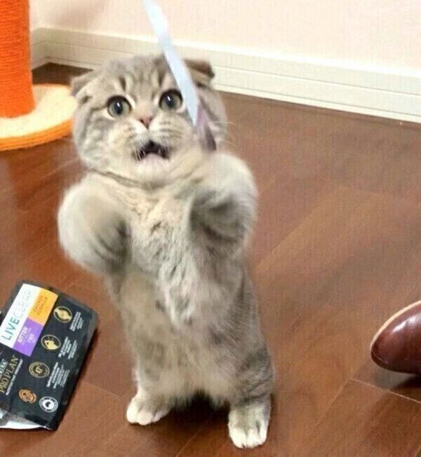 口が半開きになるたこやきくん