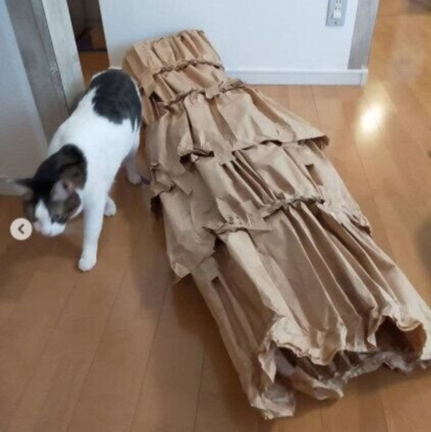 愛猫が喜ぶdiy 身近な材料を 猫トンネル にリメイクしよう ねこのきもちweb Magazine 愛猫が喜ぶdiy 身近な材料を 猫トンネル にリメイクしよう ねこのきもちweb Magazine