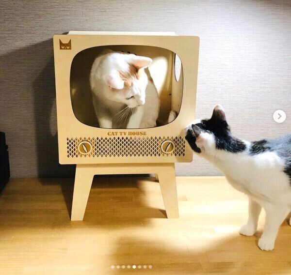 「レトロテレビのキャットハウス」
