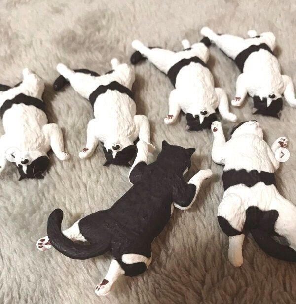 カプセルトイ「#へそ天にゃん」