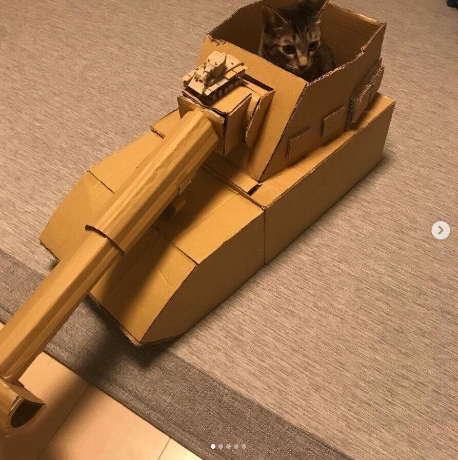 猫戦車