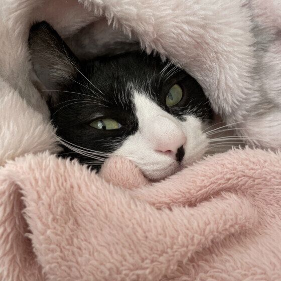 MIX黒×白のみるくちゃん