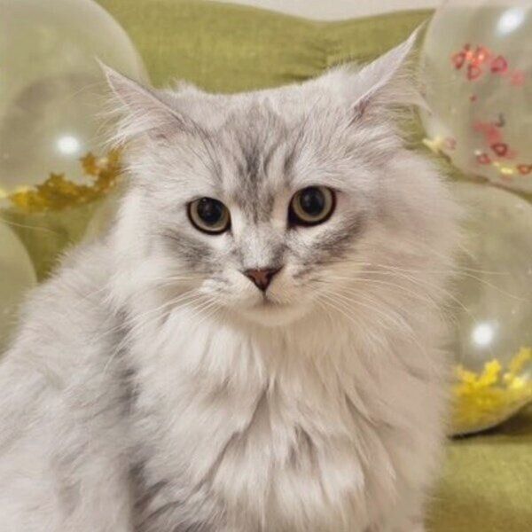 1才になったすぴくん