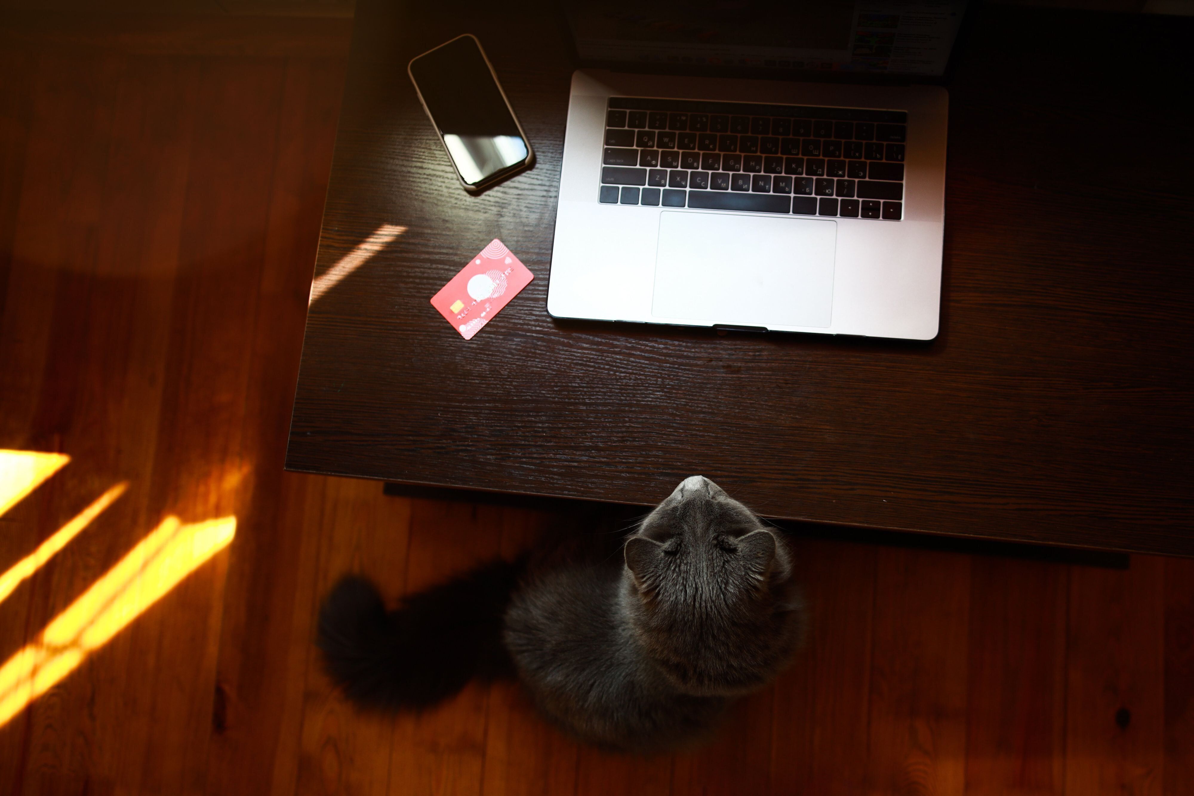 画像／iStock、Getty Images Plus