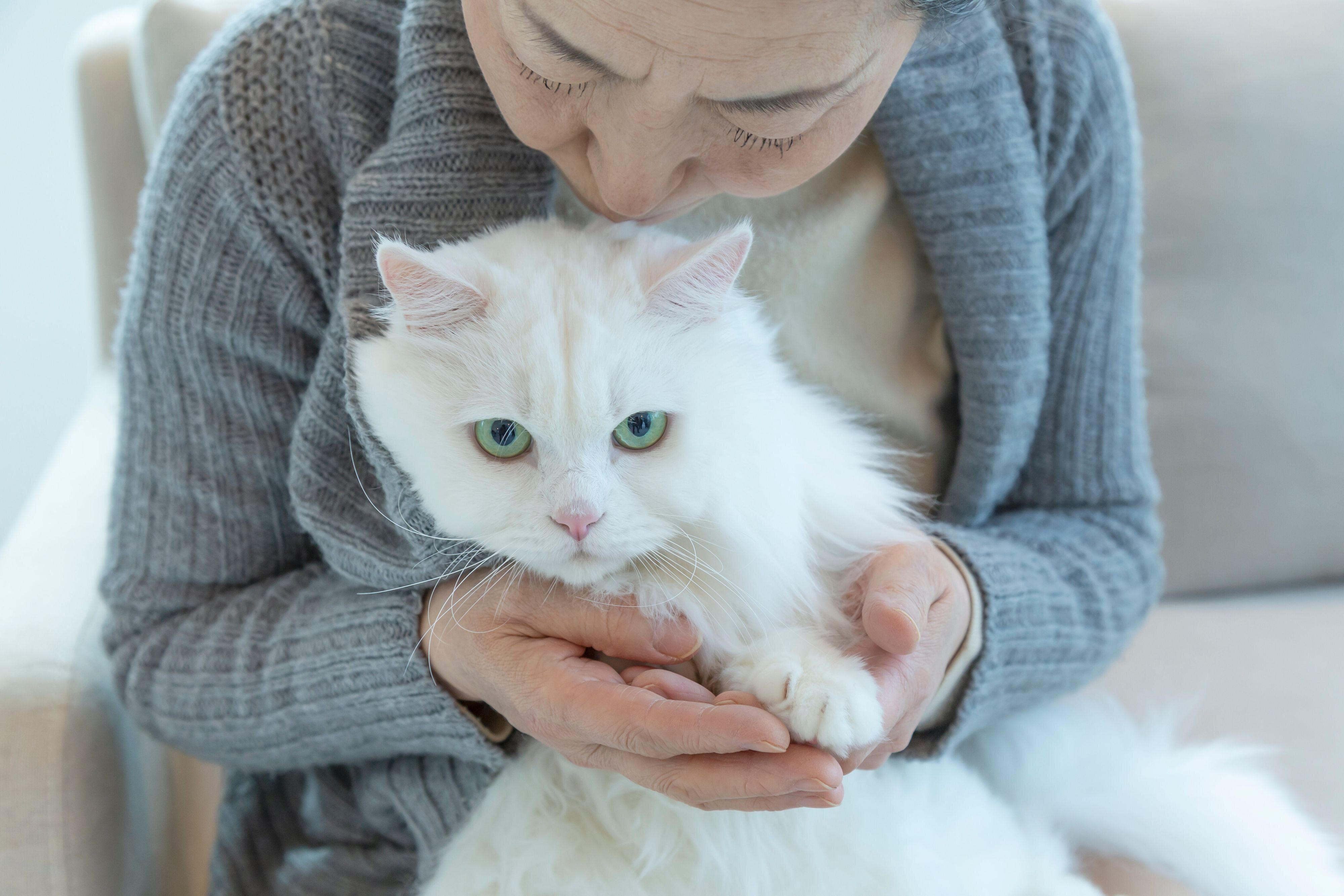 画像／iStock、Getty Images Plus