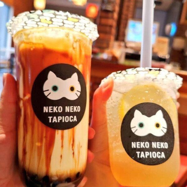 「ねこねこタピオカ」