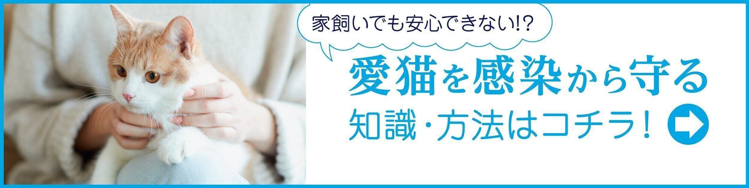 愛猫を感染から守る知識・方法はコチラ!