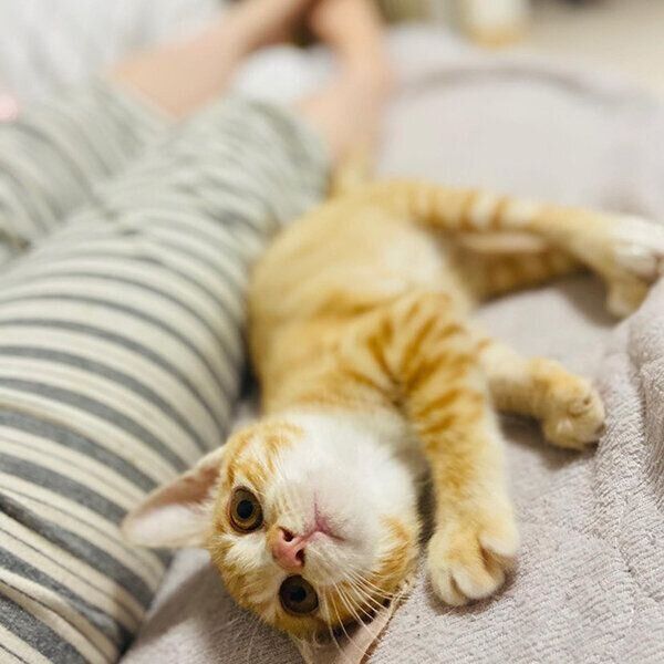 甘えるハマグリちゃん