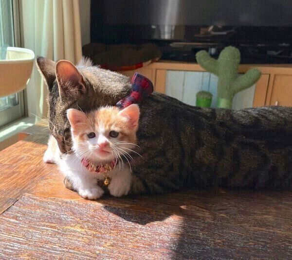 仲良しなうにくんともずくくん