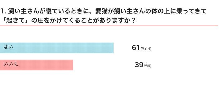 ねこのきもちWEB MAGAZINE『愛猫から「起きて」の圧をかけられたことのある飼い主さんにアンケート』
