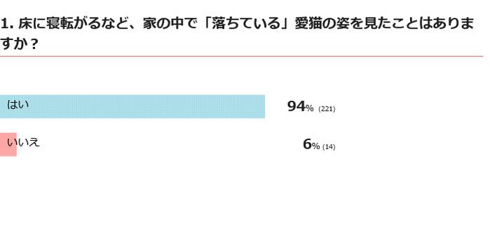 愛猫は家の中でよく落ちている?