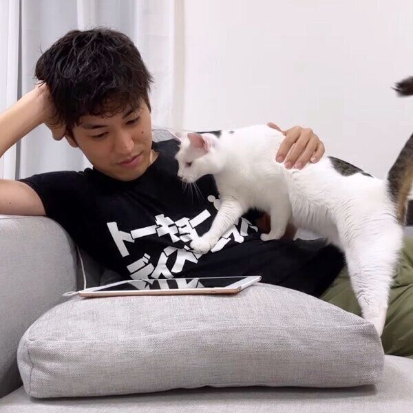 パパさんに甘えるコメちゃん