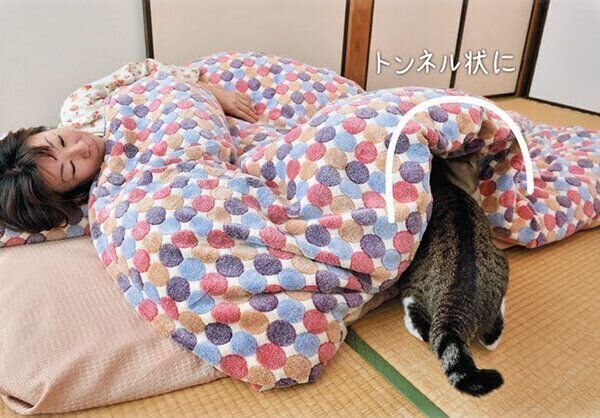 布団に入る猫