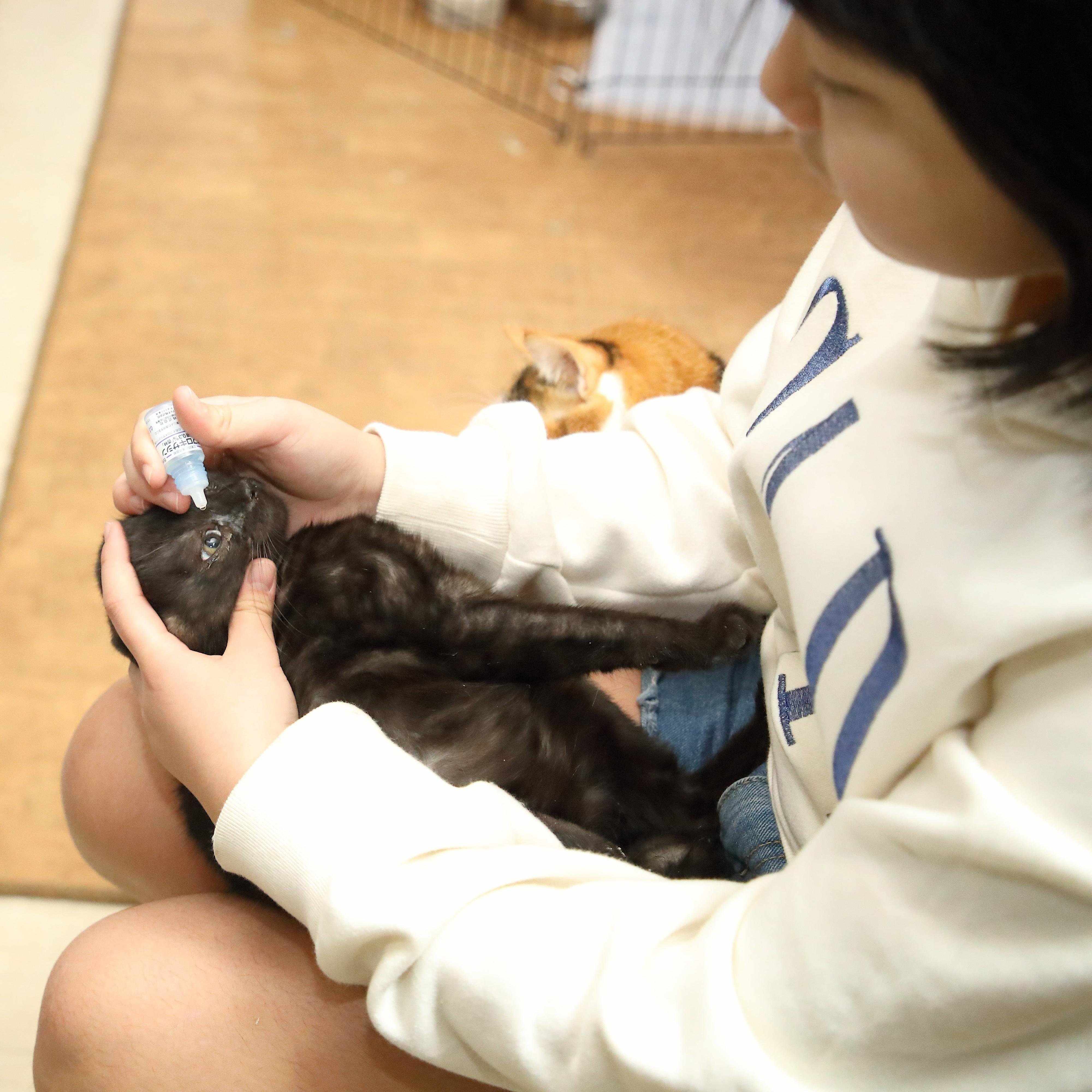 撮影／尾﨑たまき