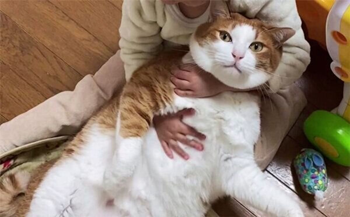 Zpbtkln9y1u4 M Zpbtkln9y1u4 M