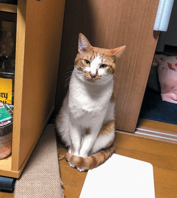 遊べるかどうかが気になる様子のすたろーんくん