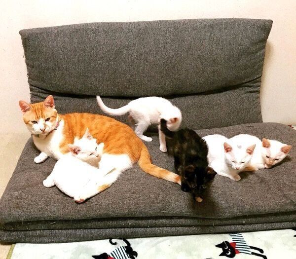 ベテラン保育士のむぎくん