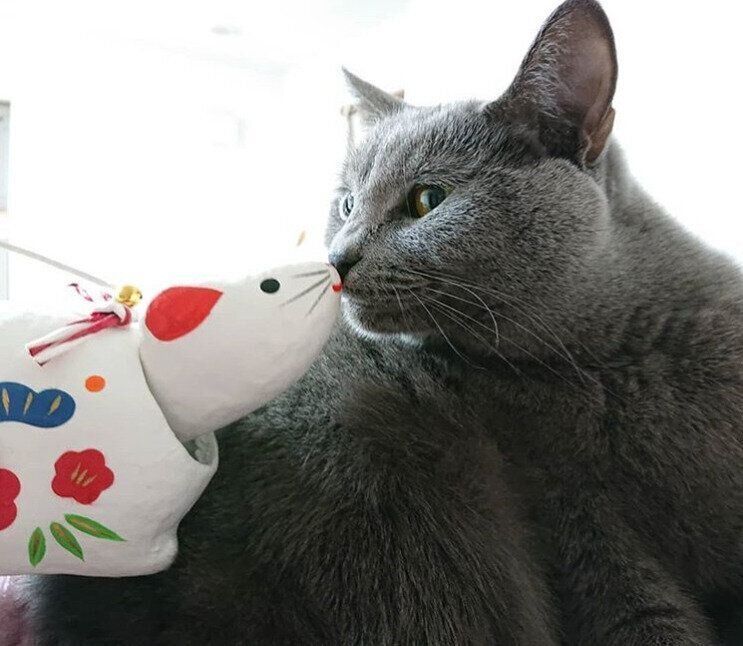 ねずみの置物と鼻チューする猫