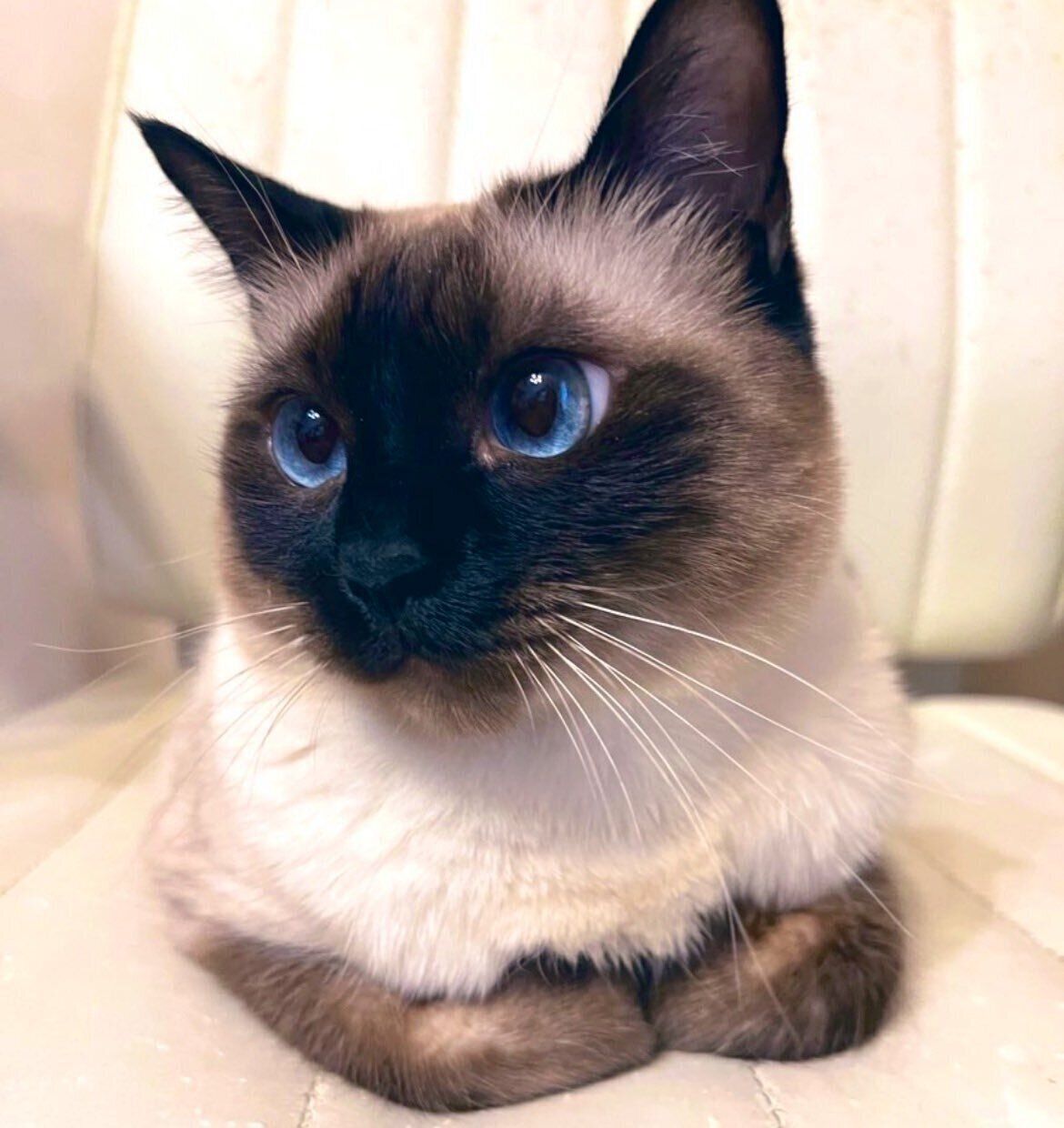 まったりするなみちゃん