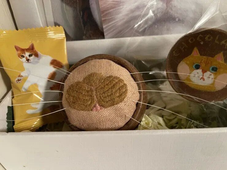 猫ひげをお骨と一緒に