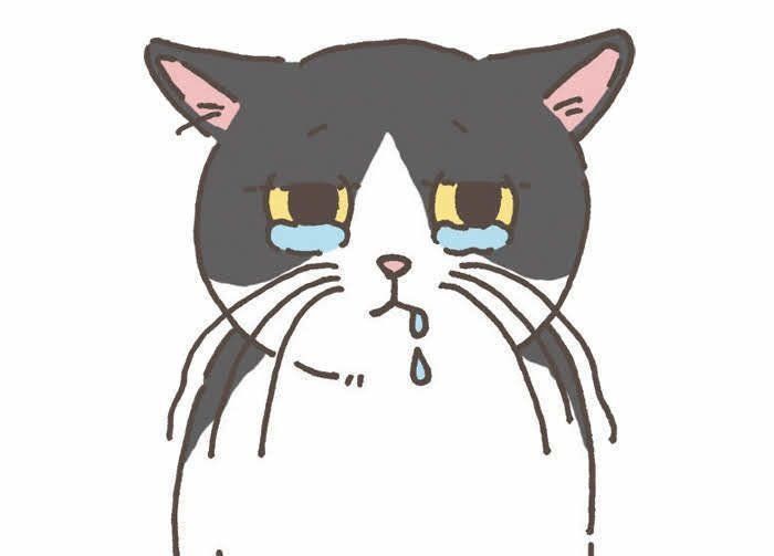 イラスト／野田映美