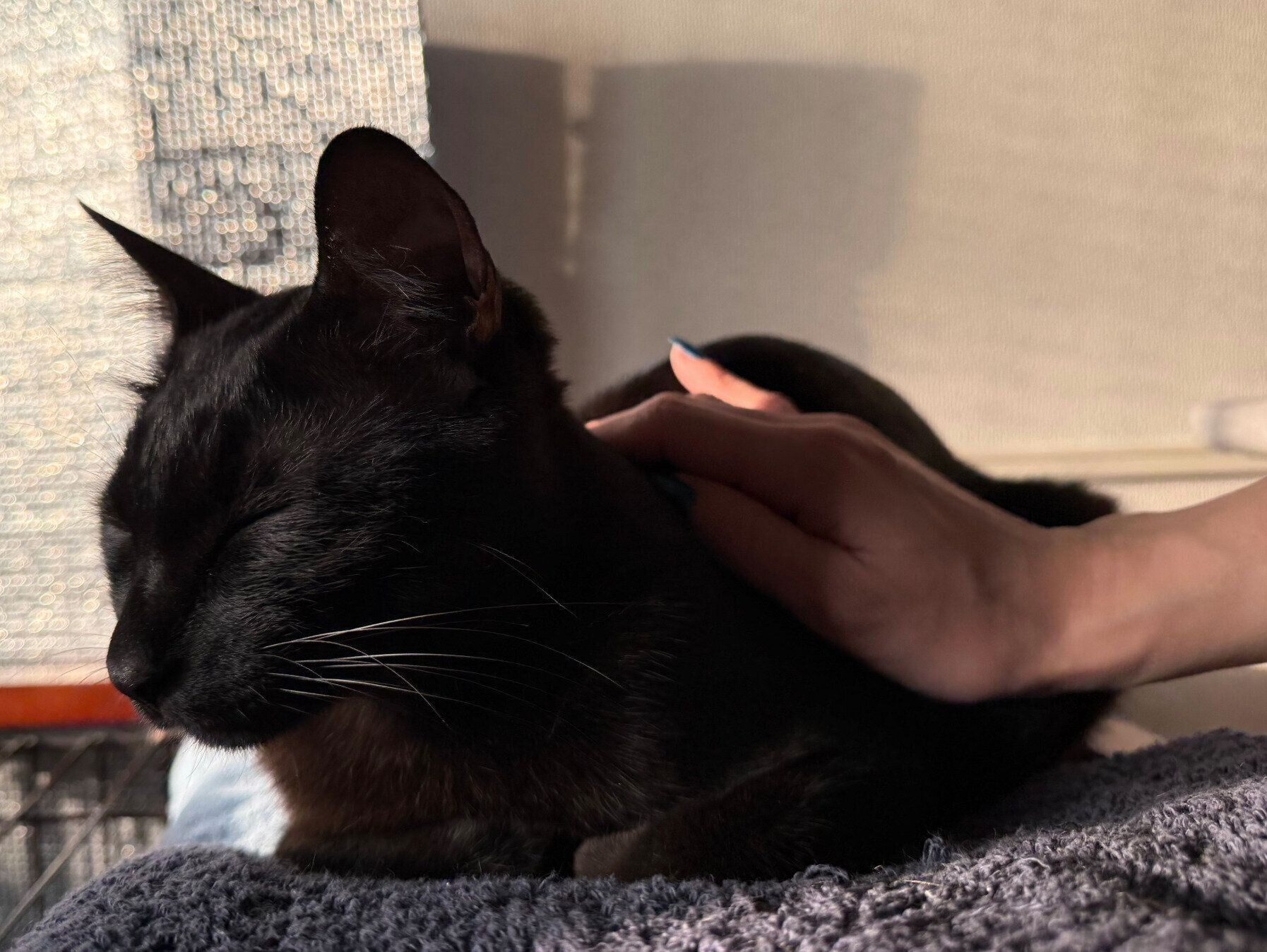 まったりするもんがくん