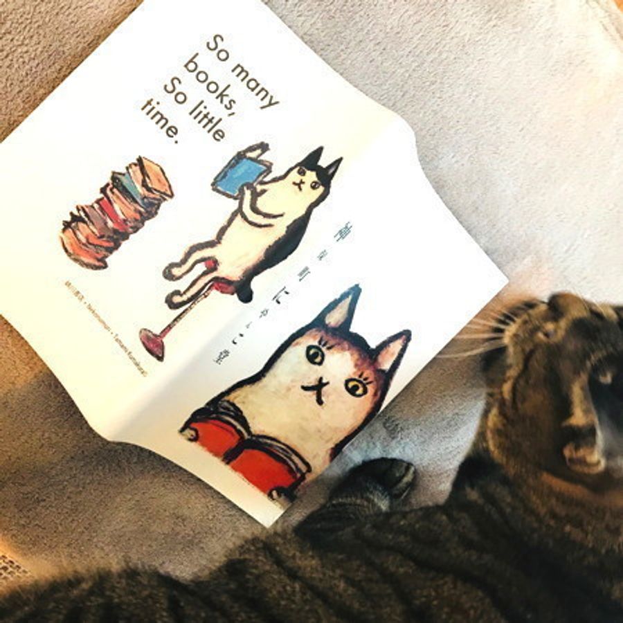 猫が結ぶご縁で開運 にゃんこ堂の可愛すぎるオリジナル猫グッズができるまで ねこのきもちweb Magazine