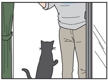 男の猫道　タイトル