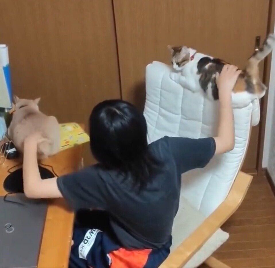 ナナちゃんとテンちゃんをなでる娘さん