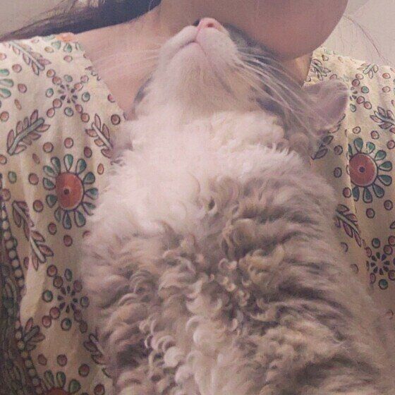 スリスリするラパームのラファくん