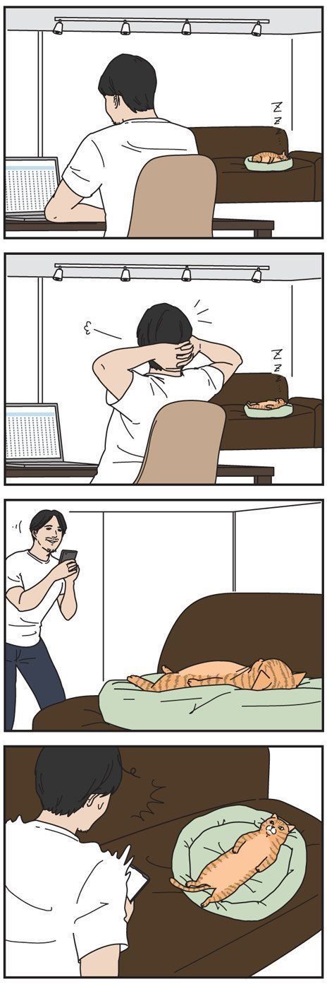 男の猫道