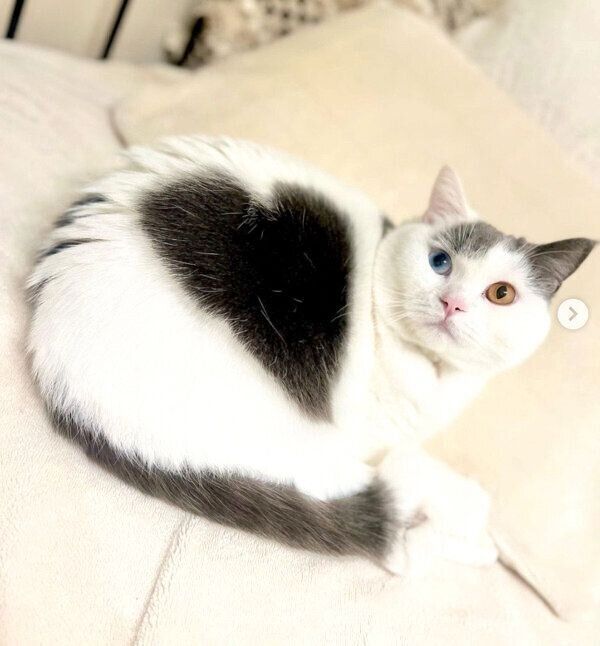 くつろぐトリュフくん