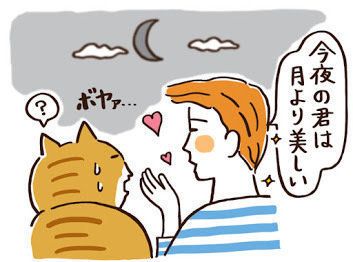 「ねこのきもち」2017年12月号