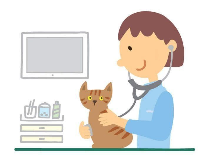 イラスト／松林今日子