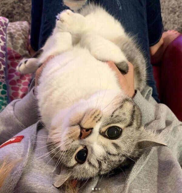 見つめるタロウくん