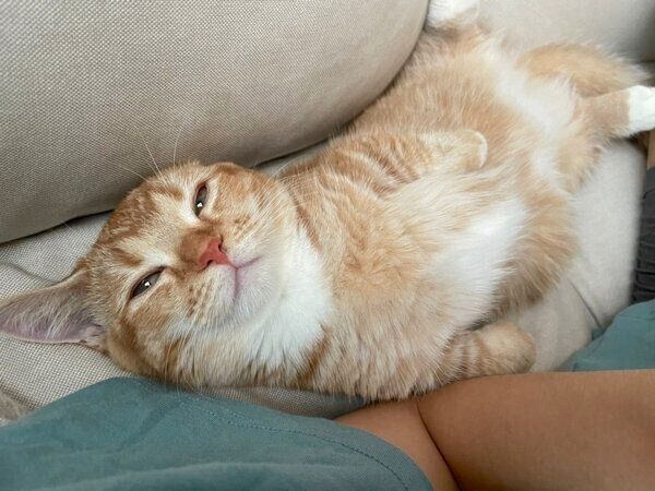 甘えるエリィちゃん