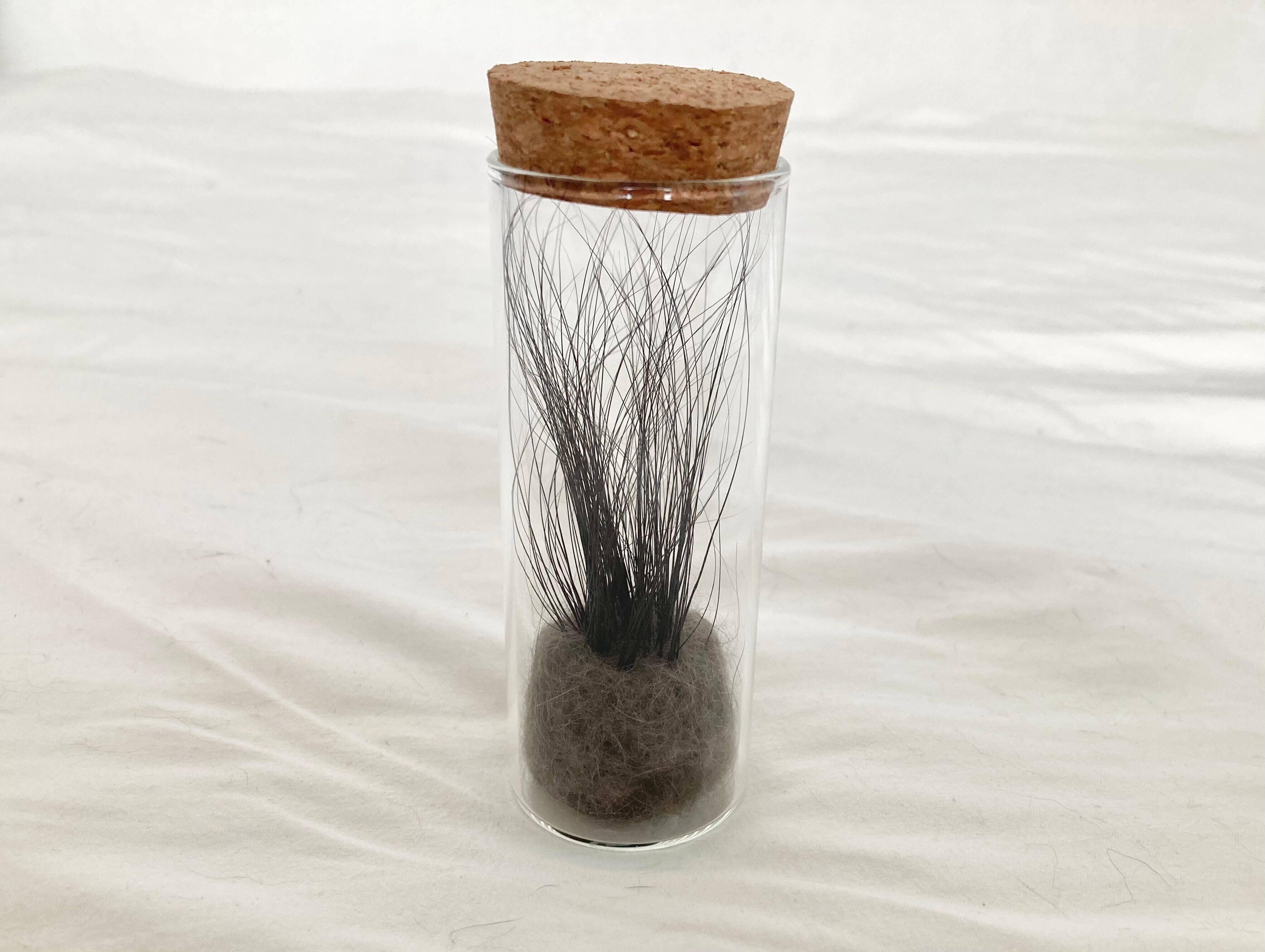 集めたたきびくんのヒゲ