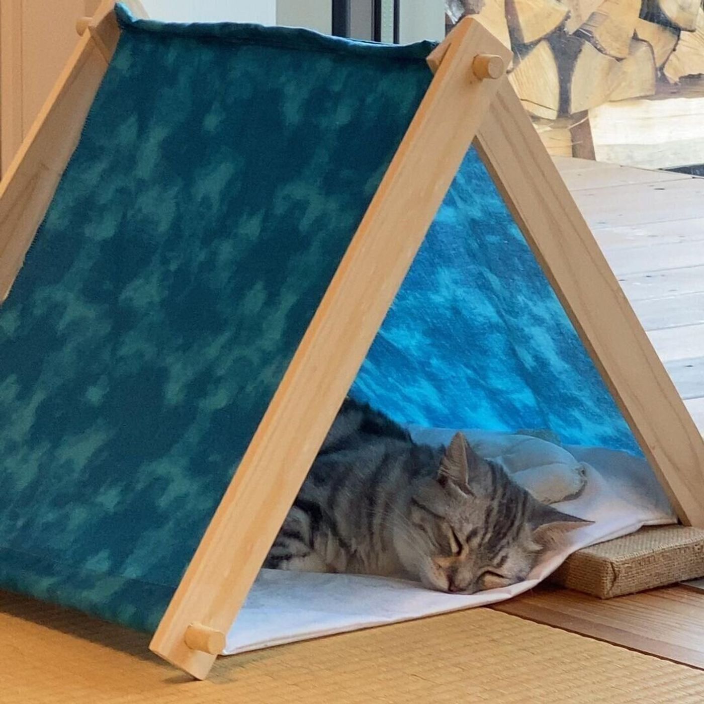 Tシャツ 突っ張り棒 身近な素材で 猫用テント を作っちゃおう ねこのきもちweb Magazine Tシャツ 突っ張り棒 身近な素材で 猫用テント を作っちゃおう ねこのきもちweb Magazine