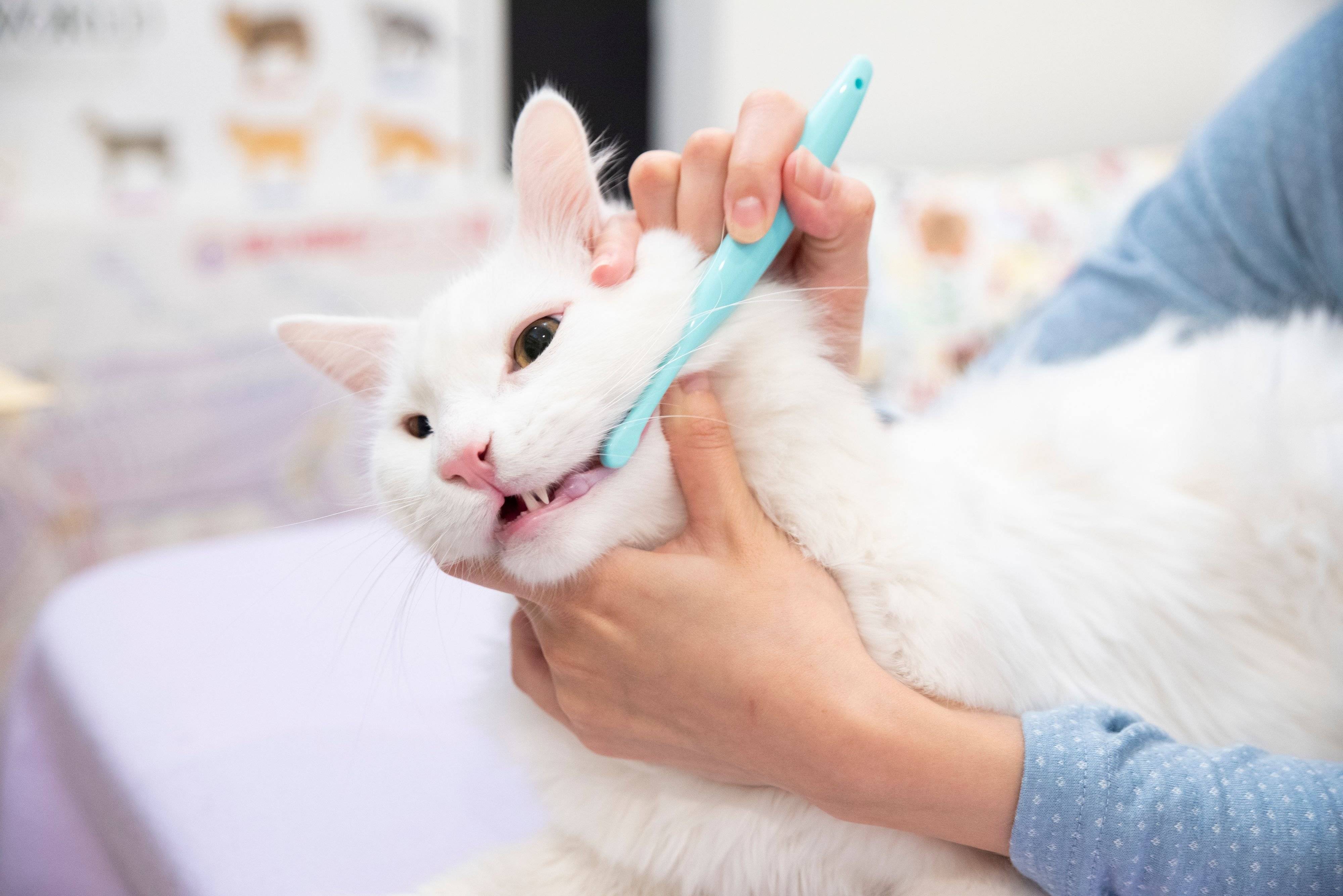 撮影／中川文作