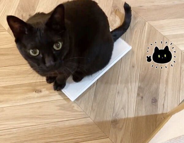 体重計に乗るろんさん