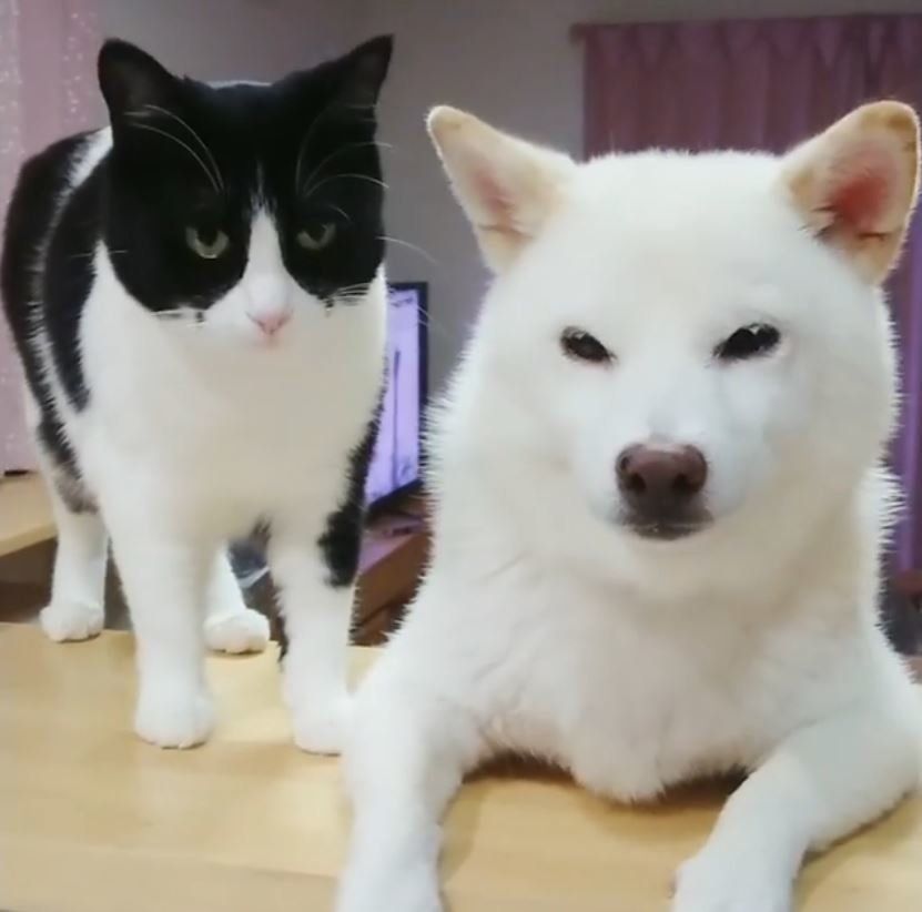 かりんちゃんとゆずちゃん