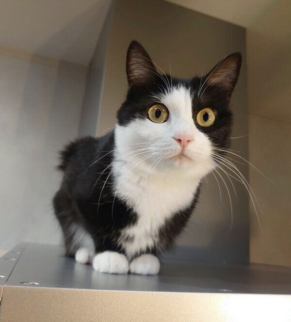 見つめるはるちゃん